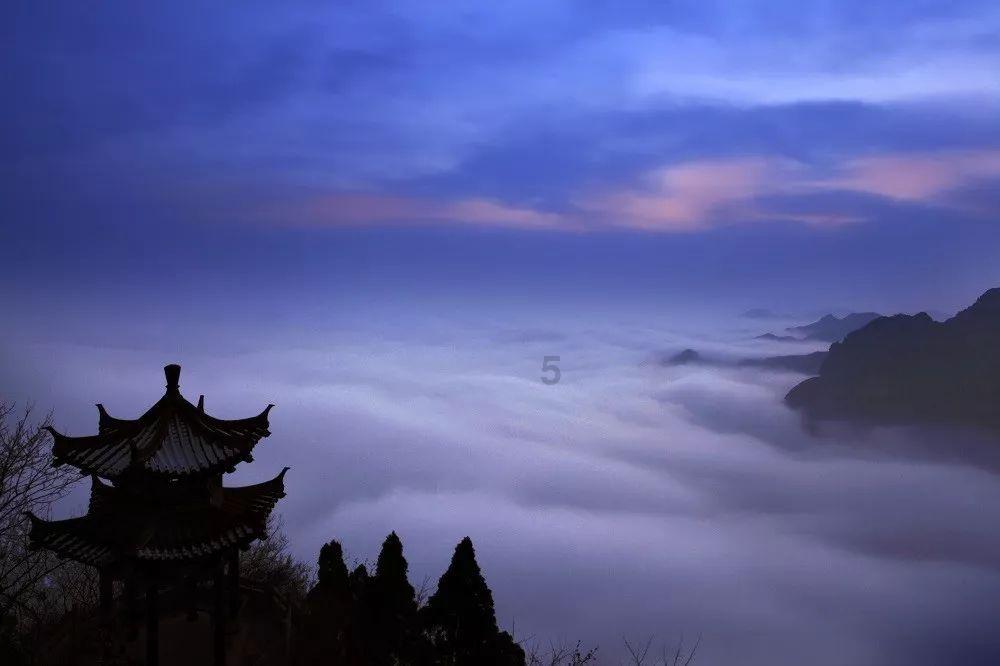 成年人在生活中经常磨牙，会出现哪些危险呢？游戏画面