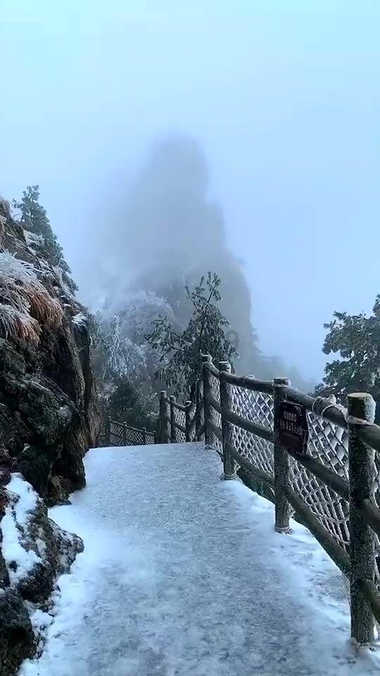 小伙花近200元网购“海鲜大咖”，开箱时傻眼了，真没装错吗？