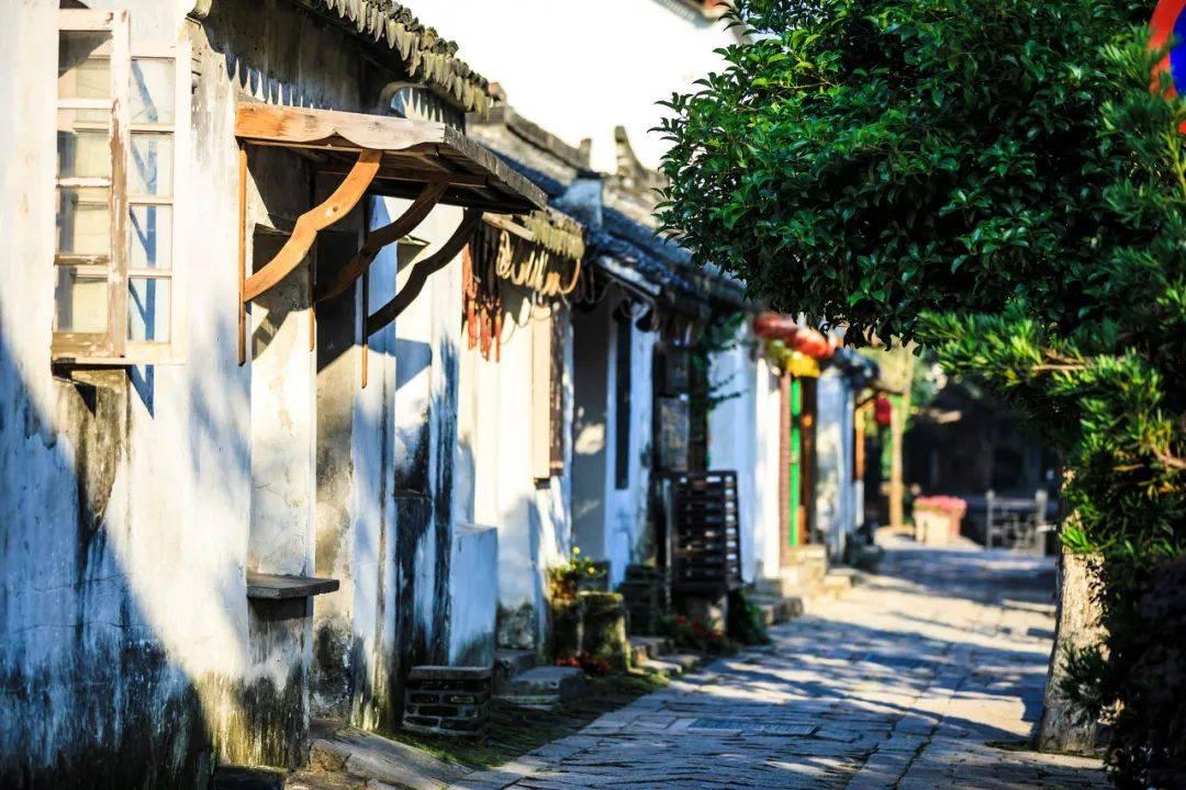 2023年全国重点城市空气质量排名出炉 厦门排名第7